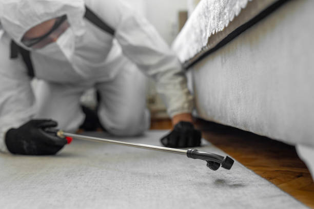 Professional Bed Bug Control technician working in Clayton County County, IA